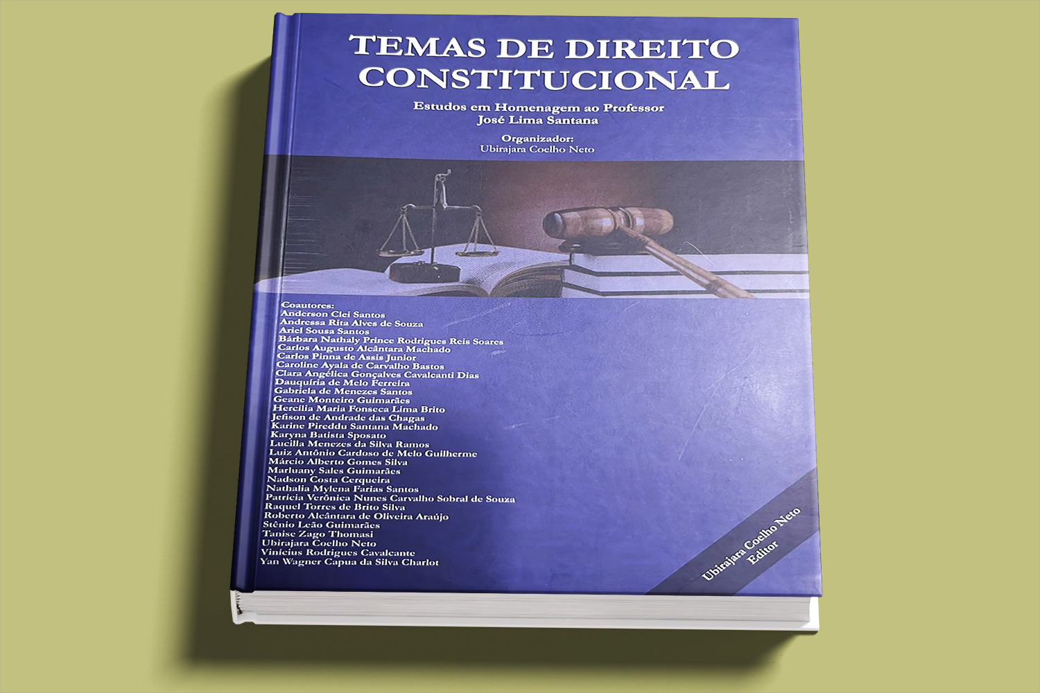 Obra, organizada pelo professor Ubirajara Coelho Neto, do Departamento de Direito da UFS, reúne 21 artigos (Foto: Divulgação)