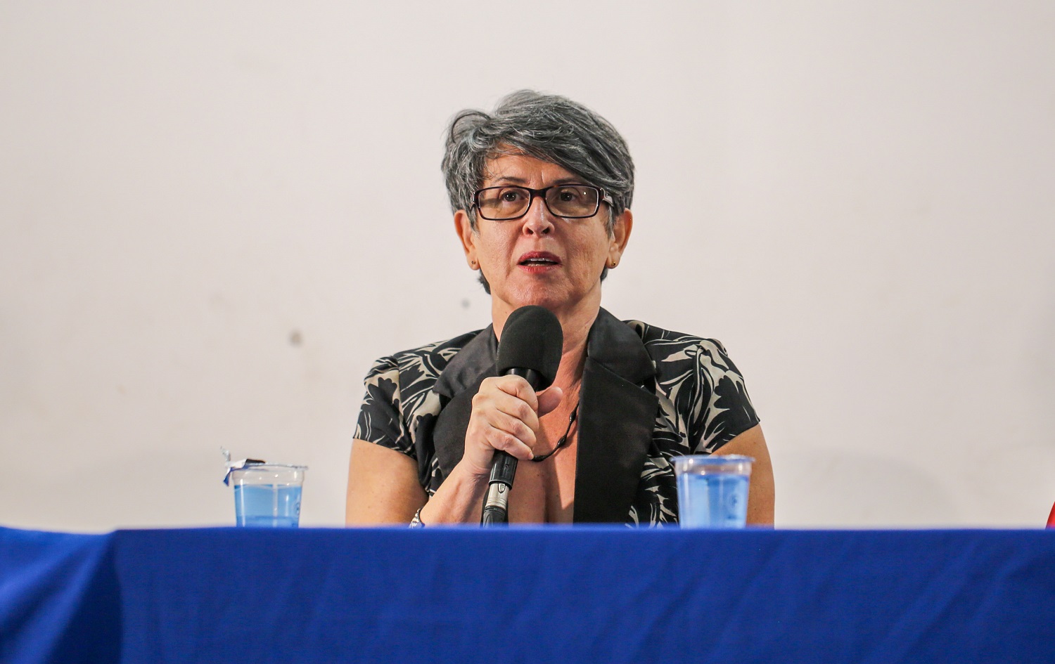 Vice-reitora da UFS, professora Silvana Bretas(Foto: Brunna Martins/Ascom UFS)